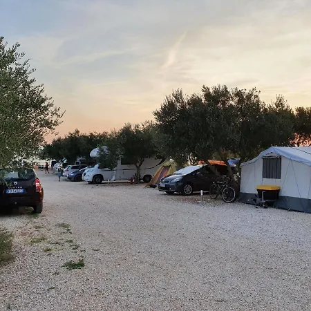 Relax Camp