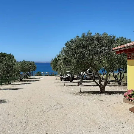 Relax Camp Camping *