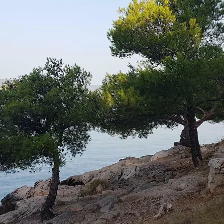 Relax Camp Campsite *